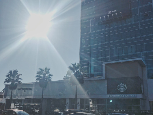 L.A. ——洛杉矶的冬日暖阳