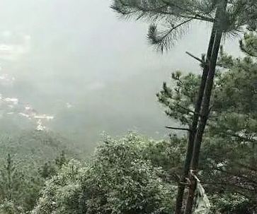 罗溪国家森林公园(暂停开放)旅行图片 1