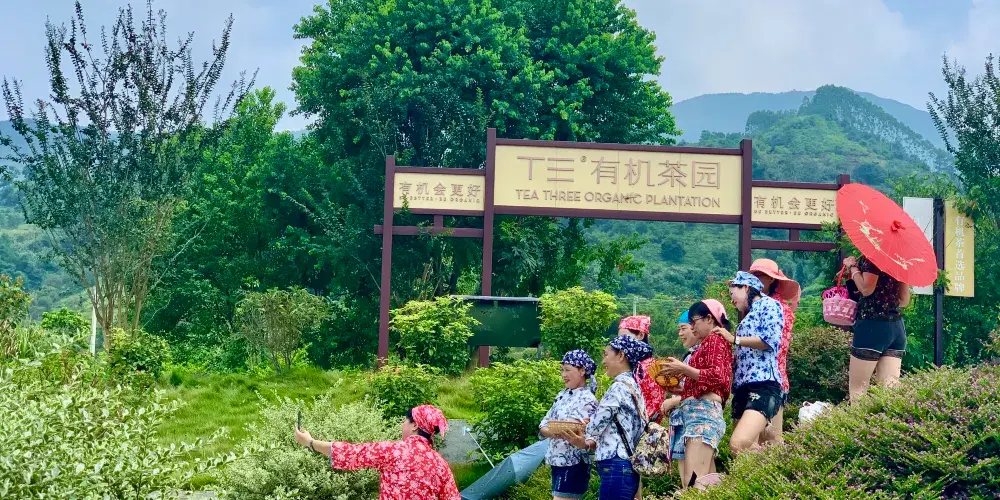 永安旅遊