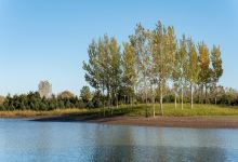 西洞庭湖湿地保护区景点图片