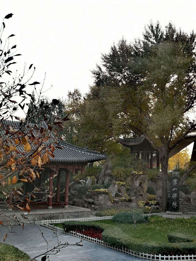碑林公园旅行图片 1