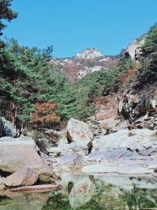 昆嵛山-烟台-M42****5556