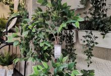 水世界花鸟鱼虫(忠州路店)购物图片
