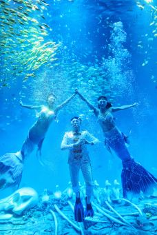 合肥海洋世界-合肥-C-IMAGE