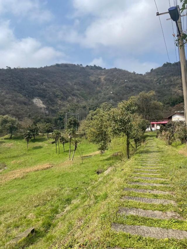 长沙黑麋峰森林公园旅行图片 4