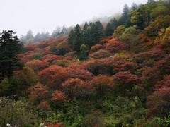 中山游记图片] 2020年9月18-10月7日内蒙古-广东自驾游记事