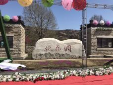 桃花涧-连云港-YoYo_8T9X7P5I