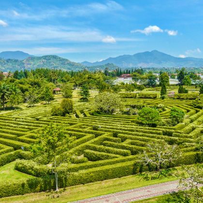 云和梯田景区+云和湖仙宫景区+遂昌金矿国家矿山公园+大木山茶园景区+古堰画乡景区4日3晚私家团