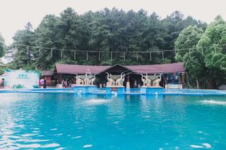 昆明金殿后山的森林温泉，五一啤酒烧烤节欢乐畅享，没有套路