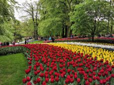 库肯霍夫公园-利瑟-乱翻的书