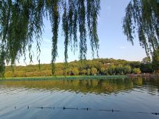 孤山-杭州-我就说俺家乡好