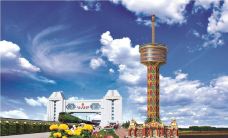 北疆明珠观光塔-满洲里-风信子