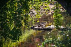 徐凫岩-宁波-C-IMAGE