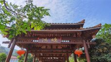 派阳山森林公园-宁明-C-IMAGE