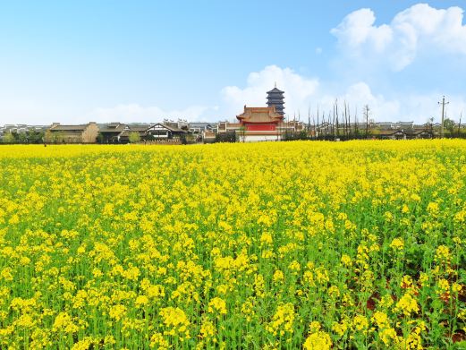 铜官窑古镇国风乐园