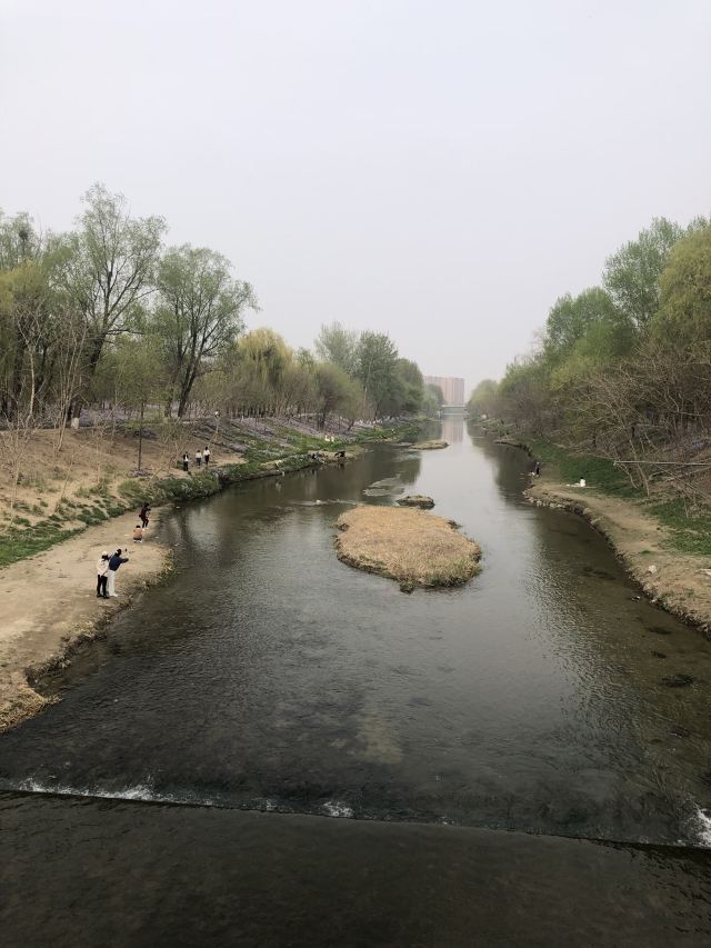 将府公园旅行图片 2