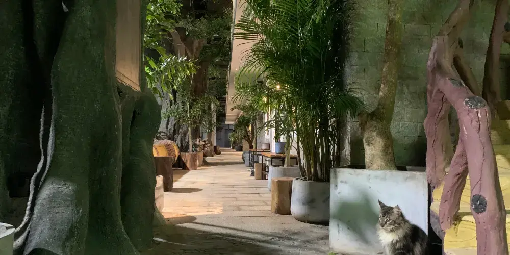 永安旅遊