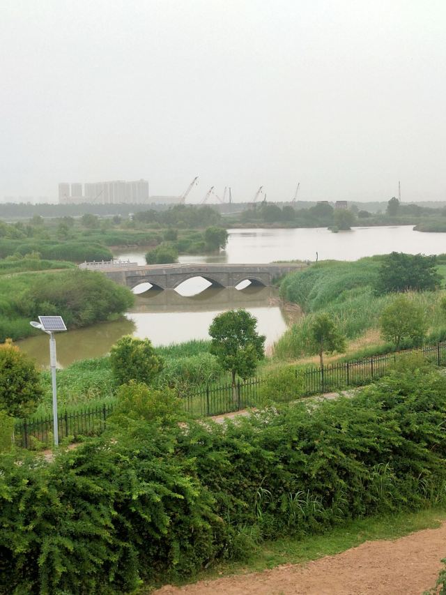 灞渭生态滩区旅行图片 4