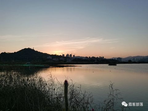 霞浦深度游6、福宁湾观鸟