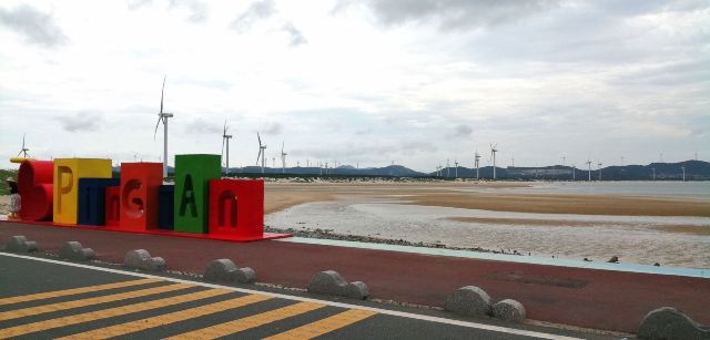 蓝眼泪观景点(长江澳海滩)旅行图片 10