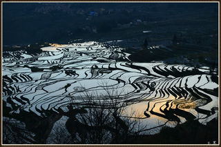 古城、海岛、梯田、瀑布——2019年初,云南、广西,半月游。(二)元阳梯田。