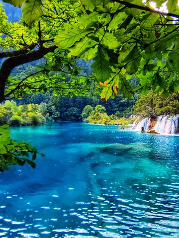 清凉避暑乐游地，优惠政策助复苏！阿坝州暑期游客量井喷式增长！