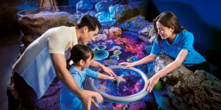 曼谷暹羅海洋世界