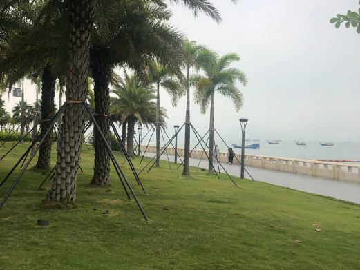 女娲滨海公园