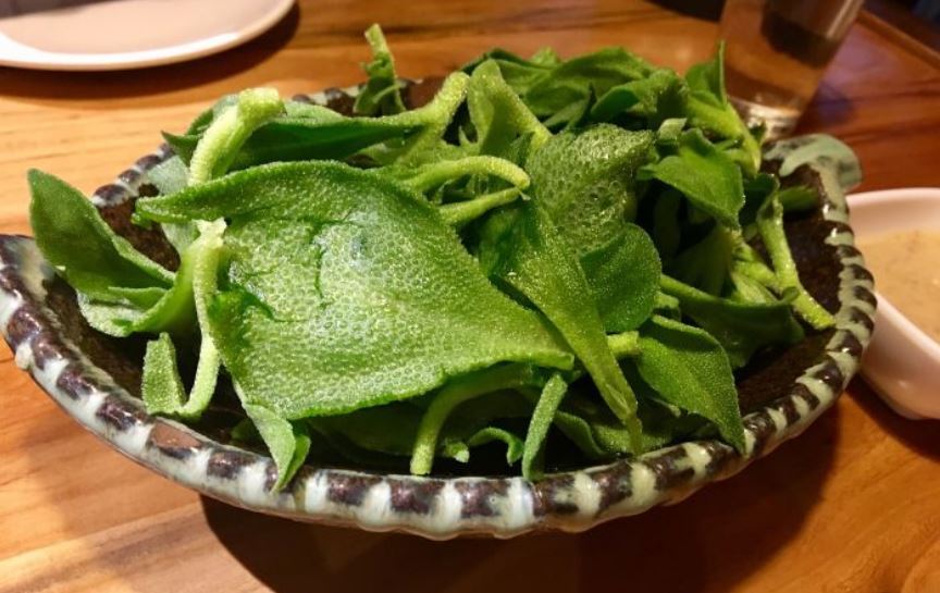 颐和·海鲜砂锅粥·啫啫煲(奥林匹克广场店)