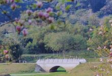 绥芬河国家森林公园景点图片