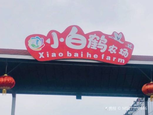 小白鹤农场