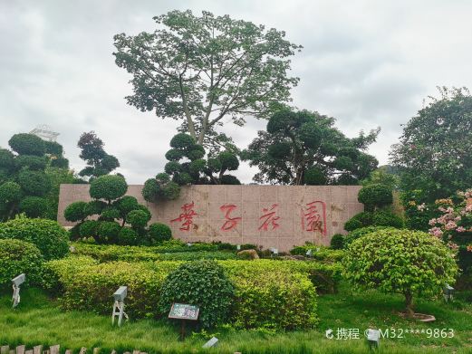 叶子花园