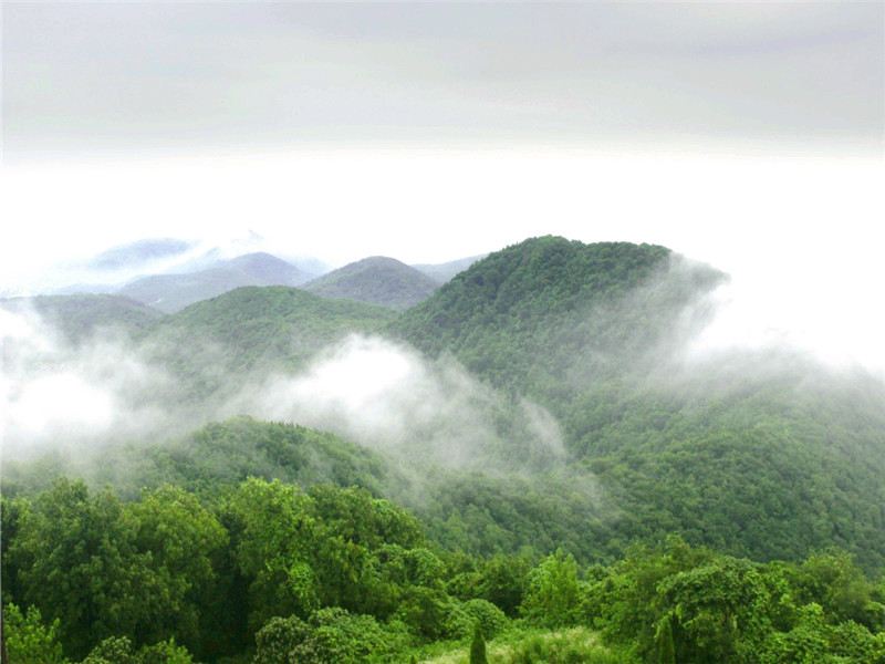 老山国家森林公园