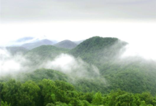 老山国家森林公园景点图片