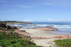 悉尼游记图片] 独行澳大利亚之十二史蒂芬港看海豚