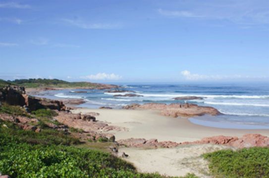独行澳大利亚之十二史蒂芬港看海豚