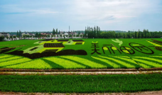 合庆郊野公园-上海-小小的大熊熊