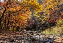 关门山国家森林公园景点图片