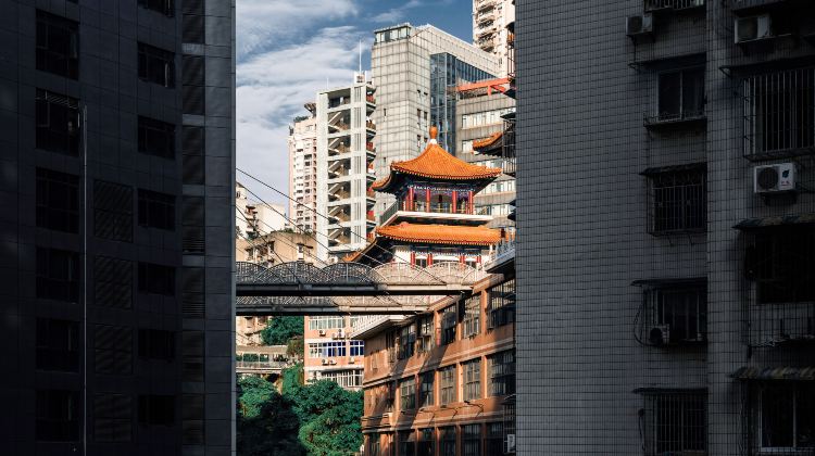 7-Day Sichuan+Chongqing Group Tours: Leshan Giant Buddha + Mount Emei + Panda + Chongqing |  International Travelers | Five-star Hotels 