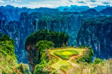 空中田园-张家界