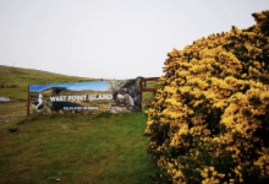 西点岛景点图片