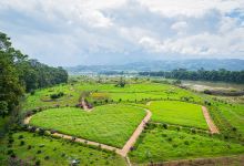 云南盈江国家湿地公园景点图片