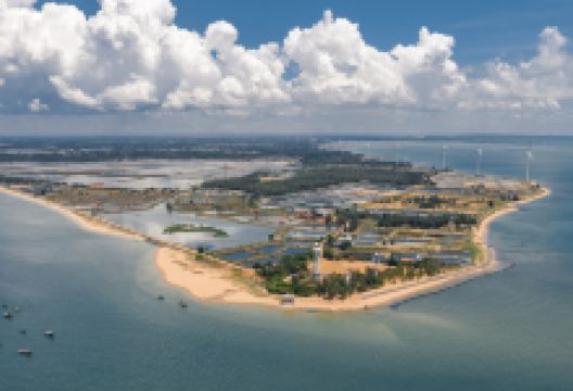 徐闻古港景点图片