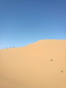 腾格里沙漠-中卫-健康美丽的芳芳