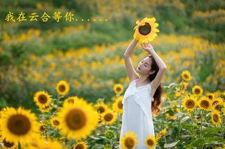 今年国庆不远行 只为云合就有那片“海”