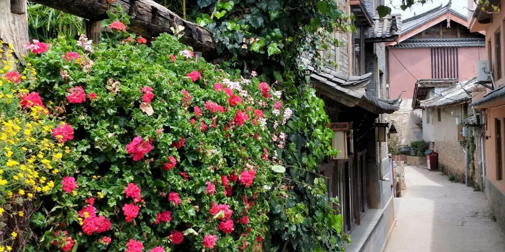 永安旅遊