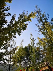 玉泉山风景区-当阳