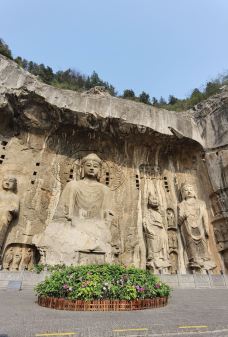 卢舍那大佛-洛阳-花果山赛虎