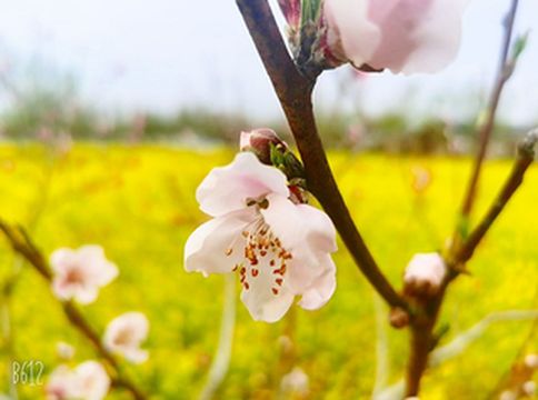 兜爷看世界③——入沂水蒙山,看山河滚烫