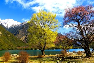 赴一场春天的约会 2021年3月西藏林芝桃花季租车自驾游攻略(一)